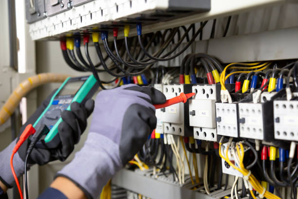 Best Electrical Panel Upgrades  in Sebring, FL